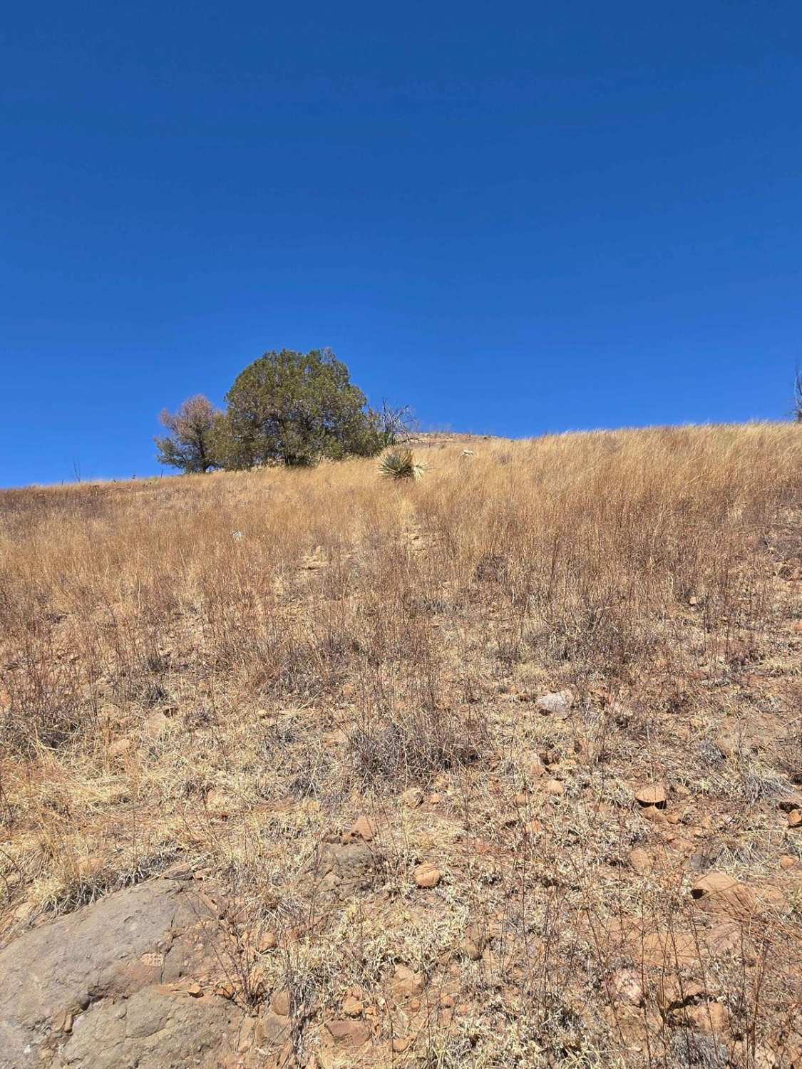 Hog Canyon Side Trail