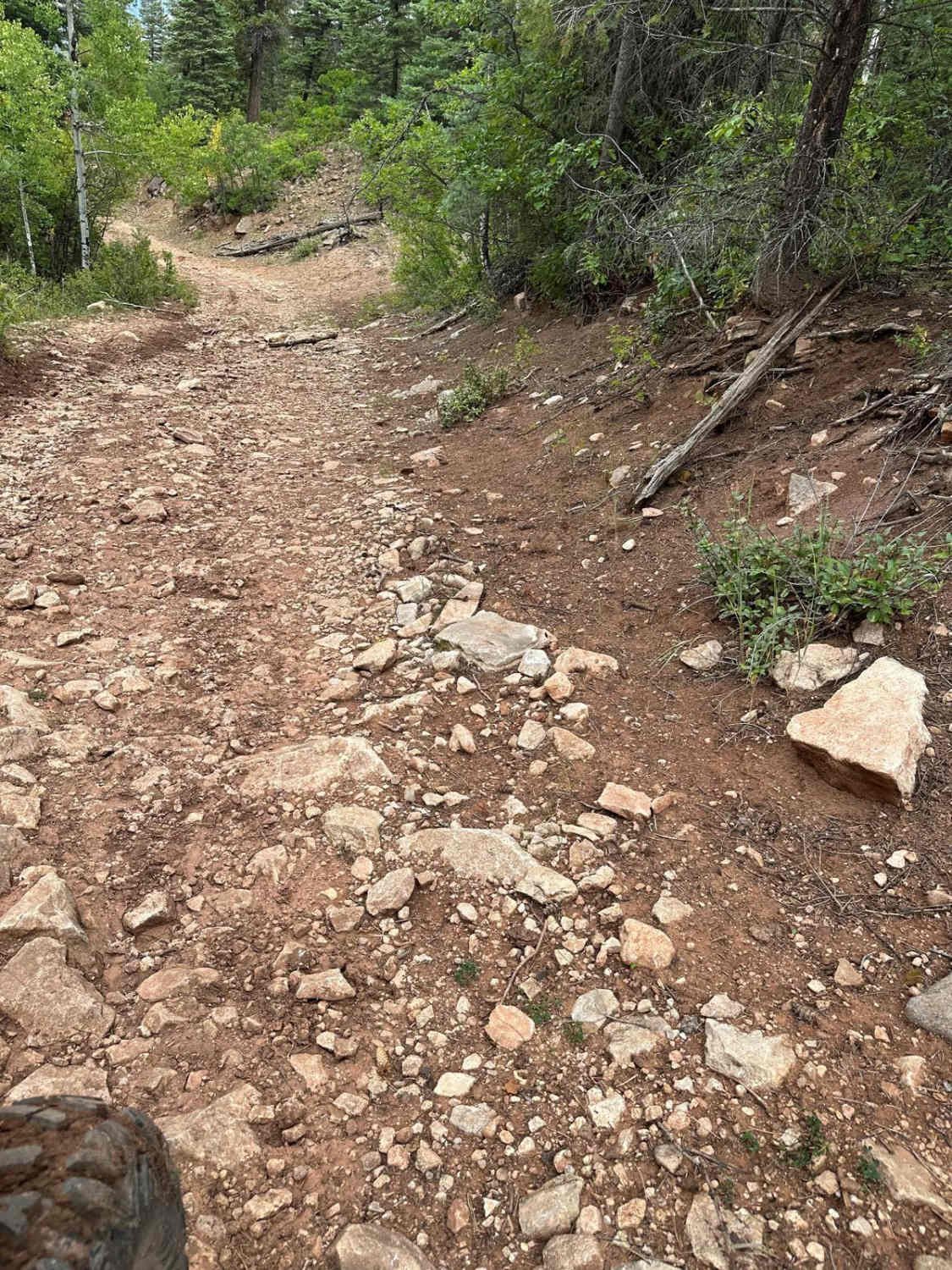 FR 461 Scrub Oak Loop