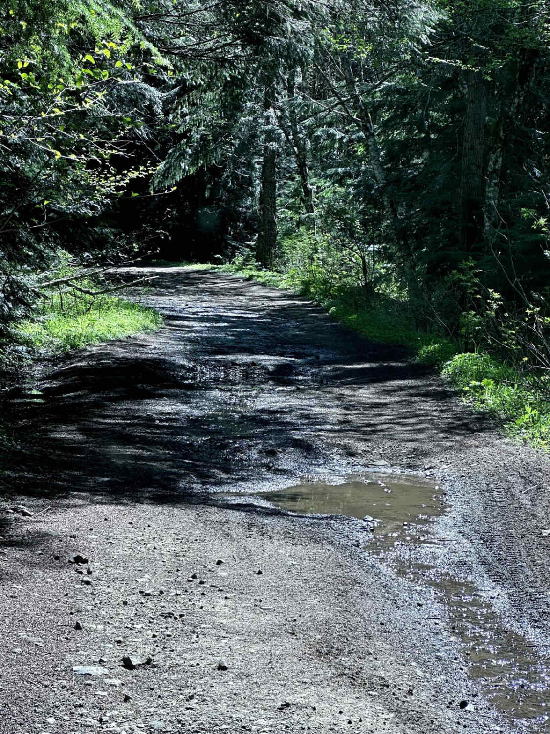 Poch Ridge Trail