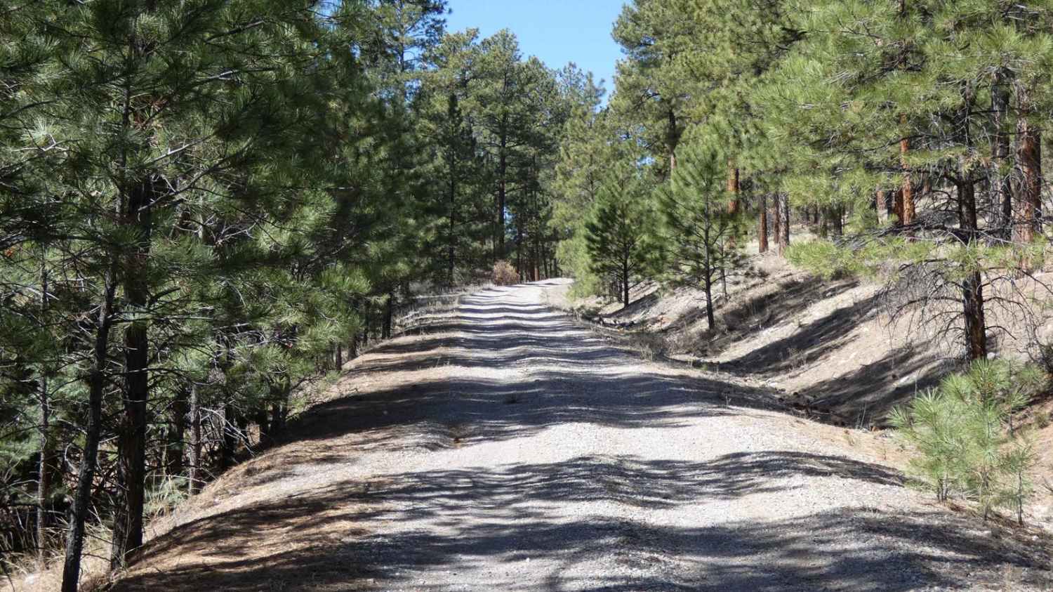Jacques Canyon FSR-719