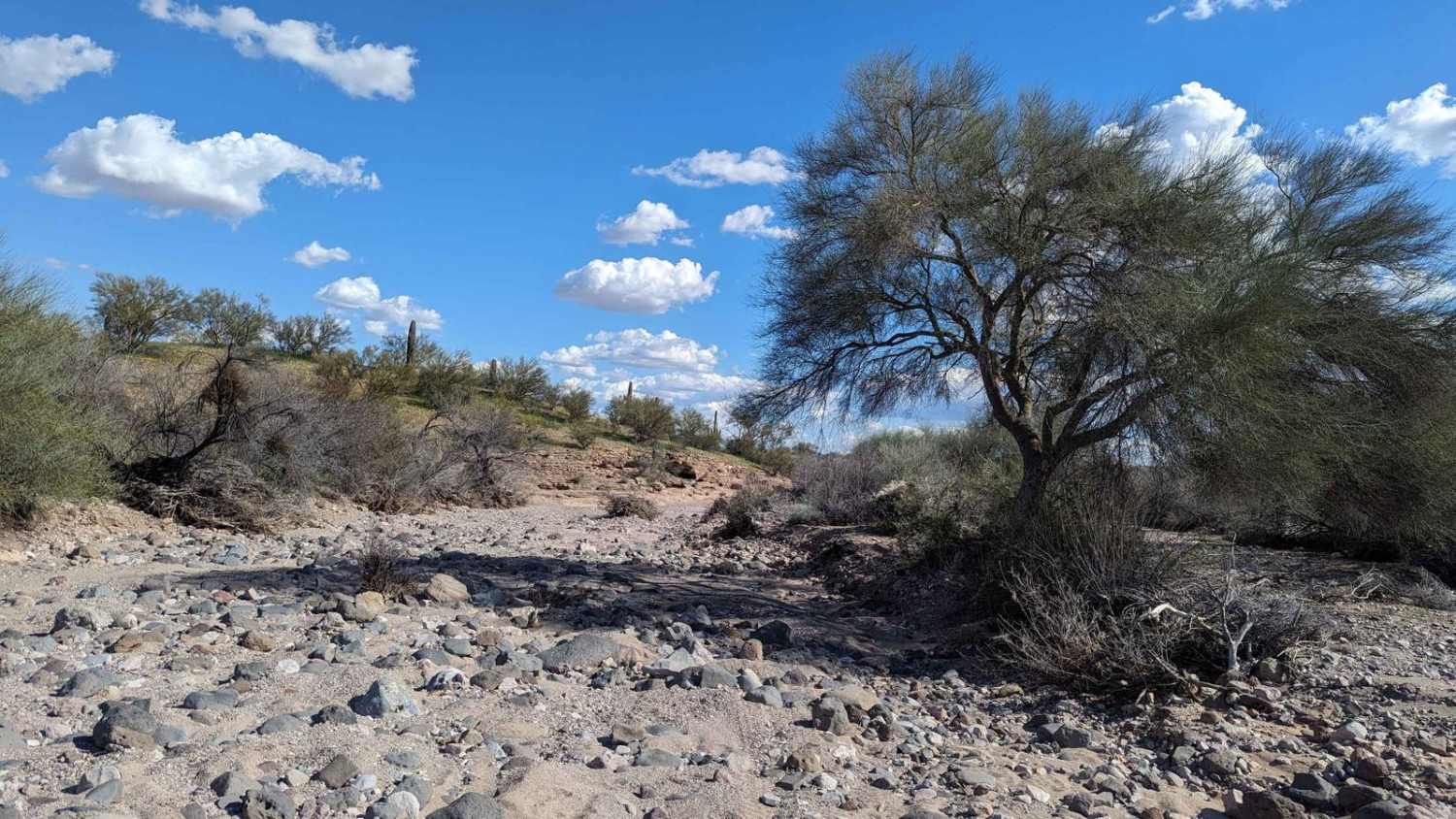 Jackrabbit Wash