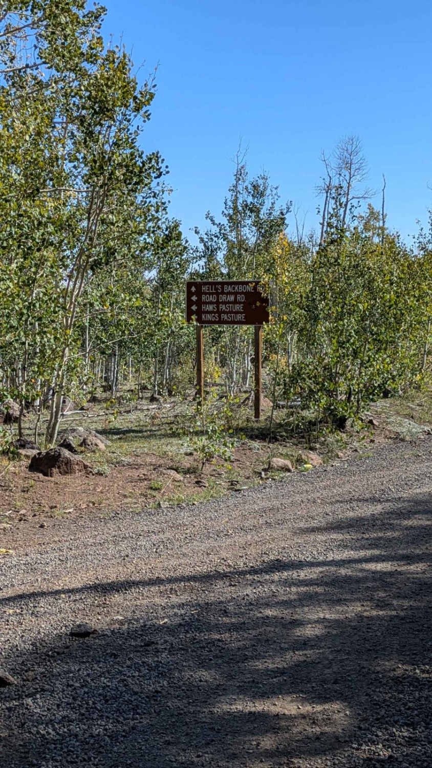 Road Draw/Haws Pasture/Kings Pasture