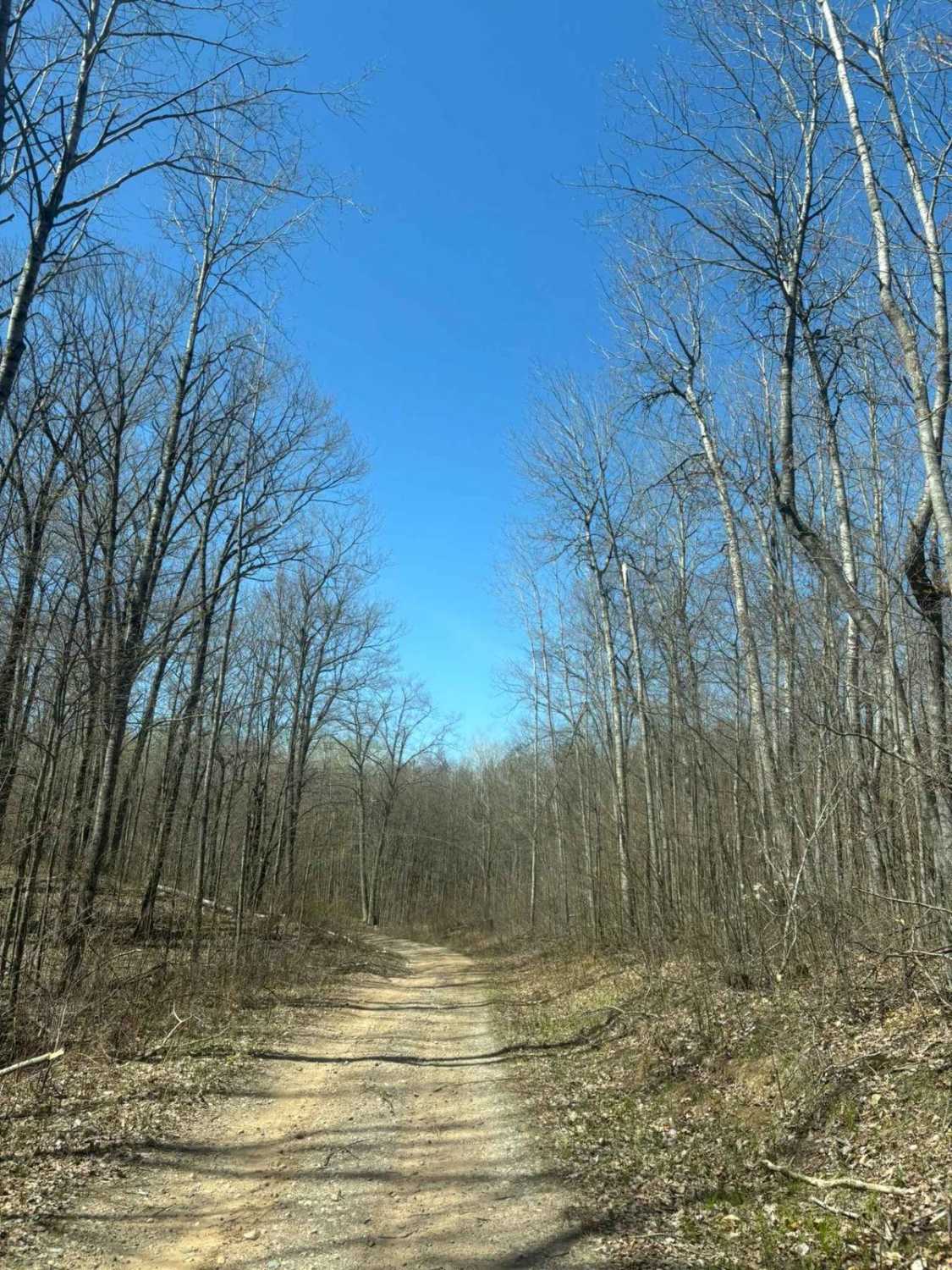 Forest Road 2267