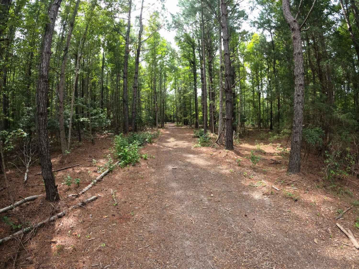 Helena Gap