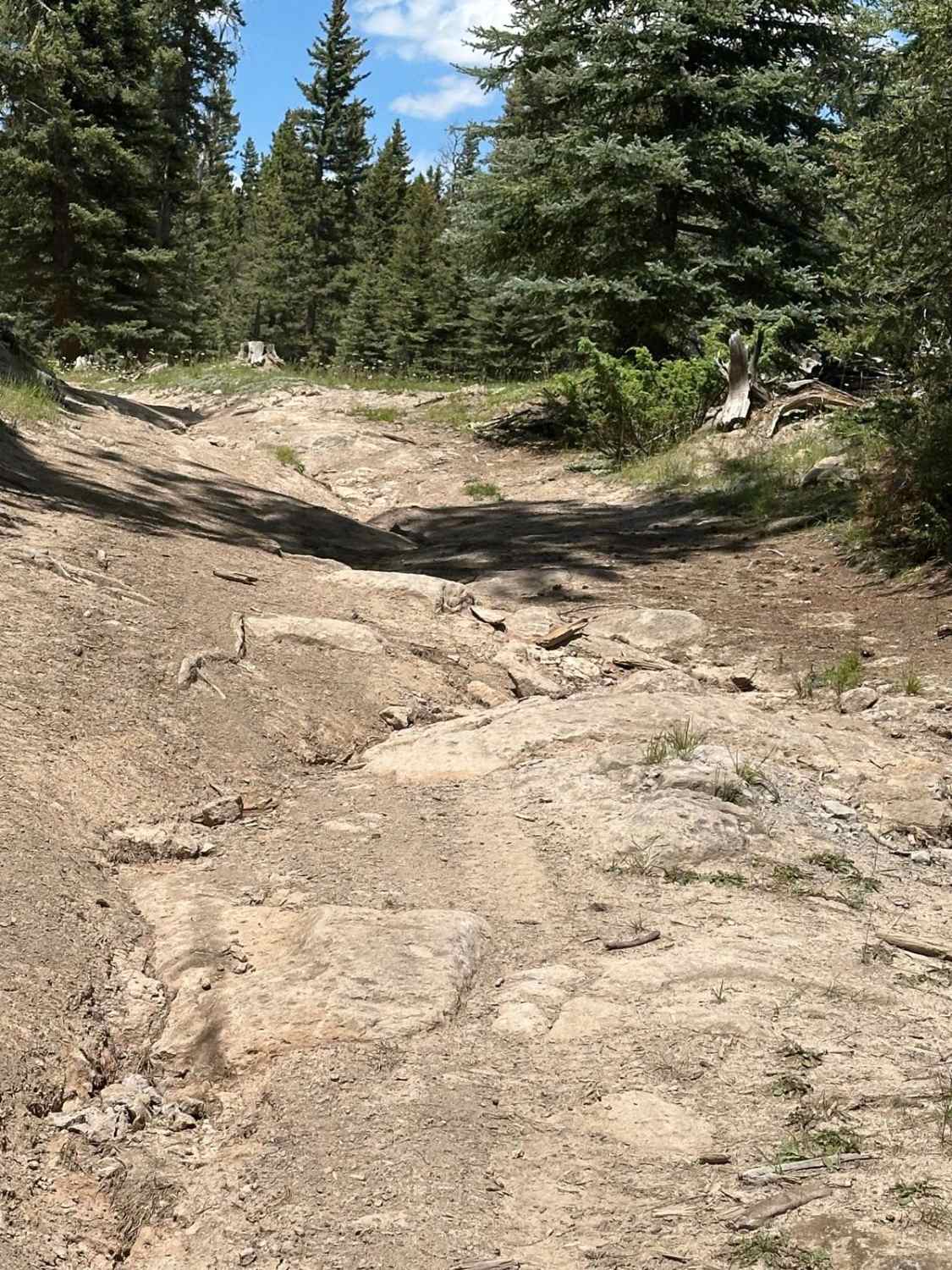 Green Pond - FS 453C