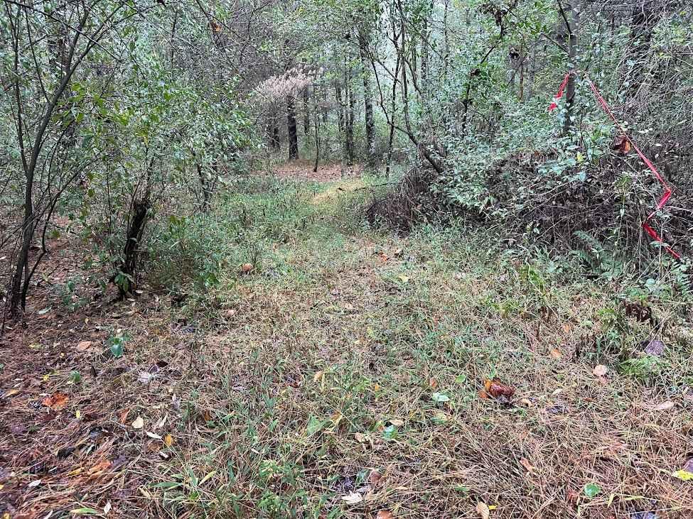 176 Single Track