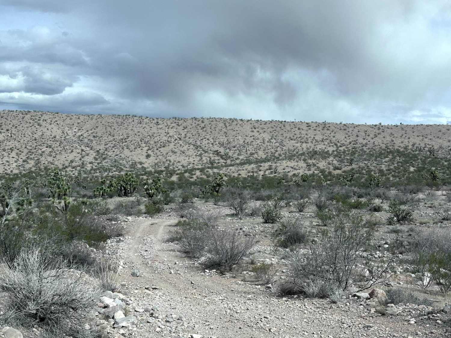 Grand Wash Cliffs - BLM 1061