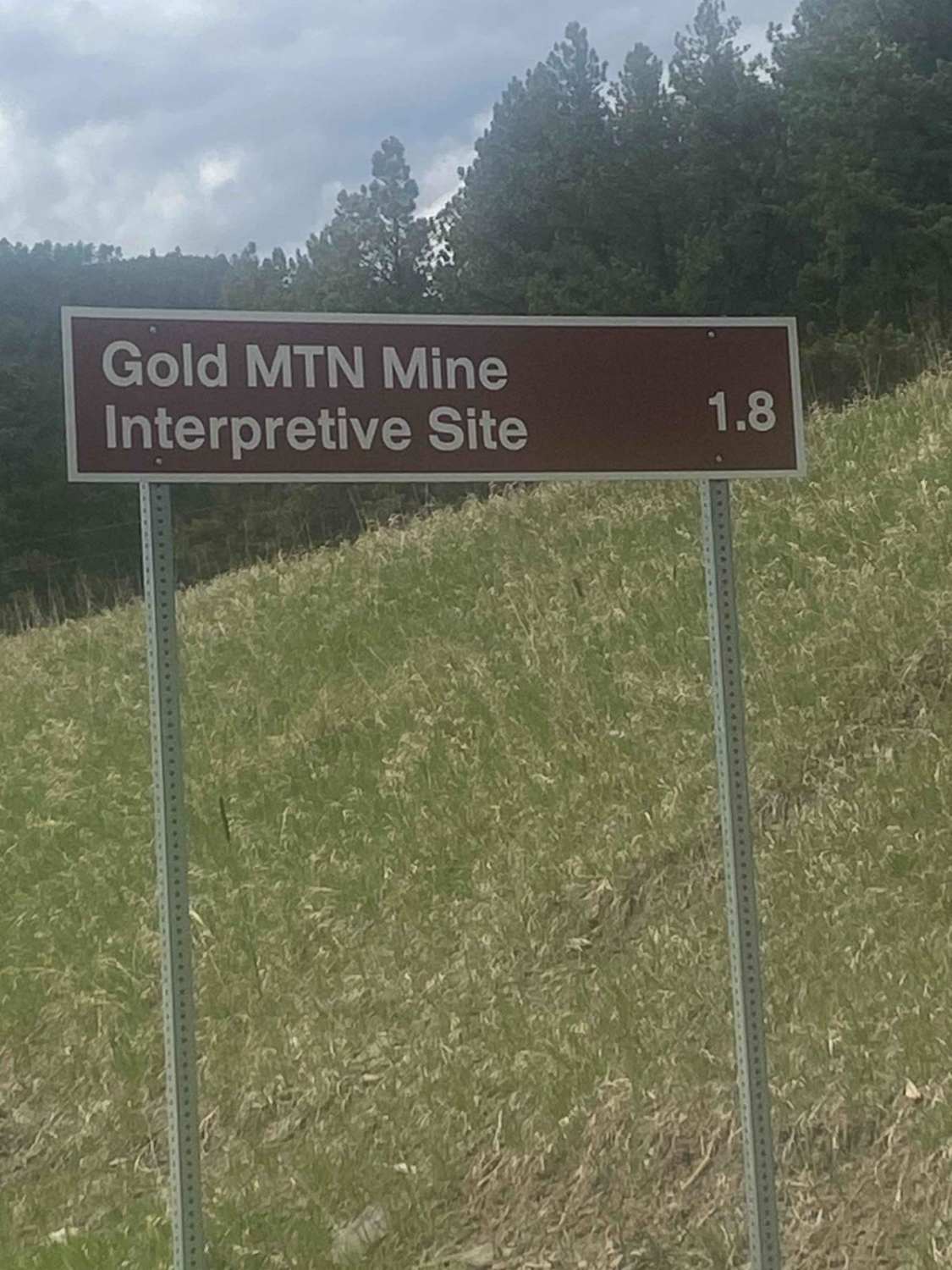 Gold Mountain Mine