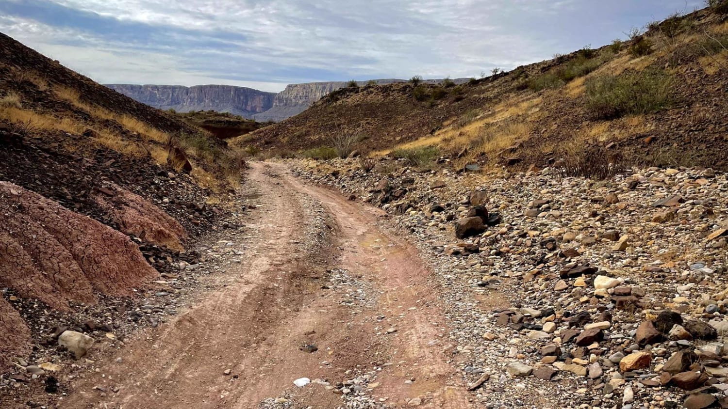 Terlingua Abaja 