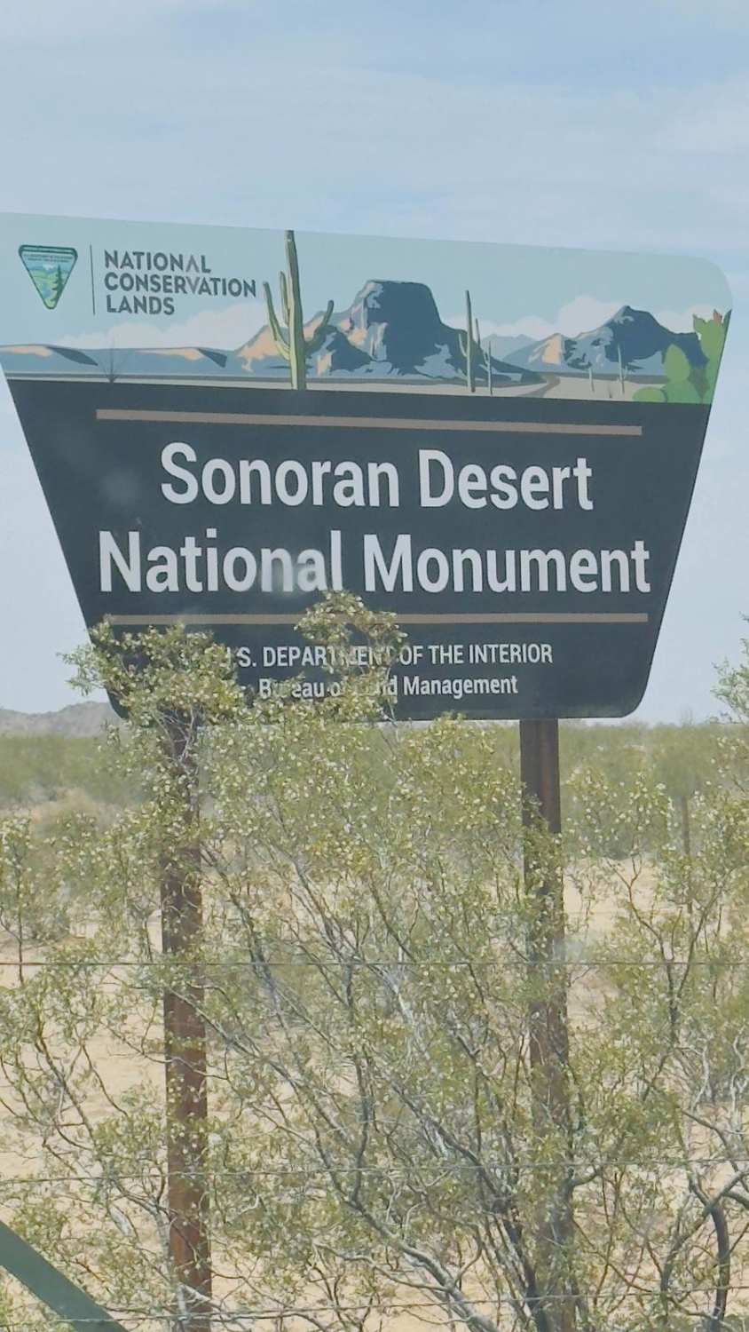 Sonoran Desert National Monument Trail
