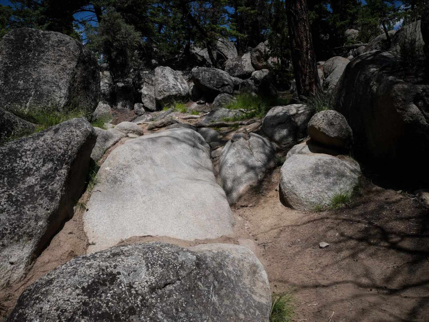BLM 11  