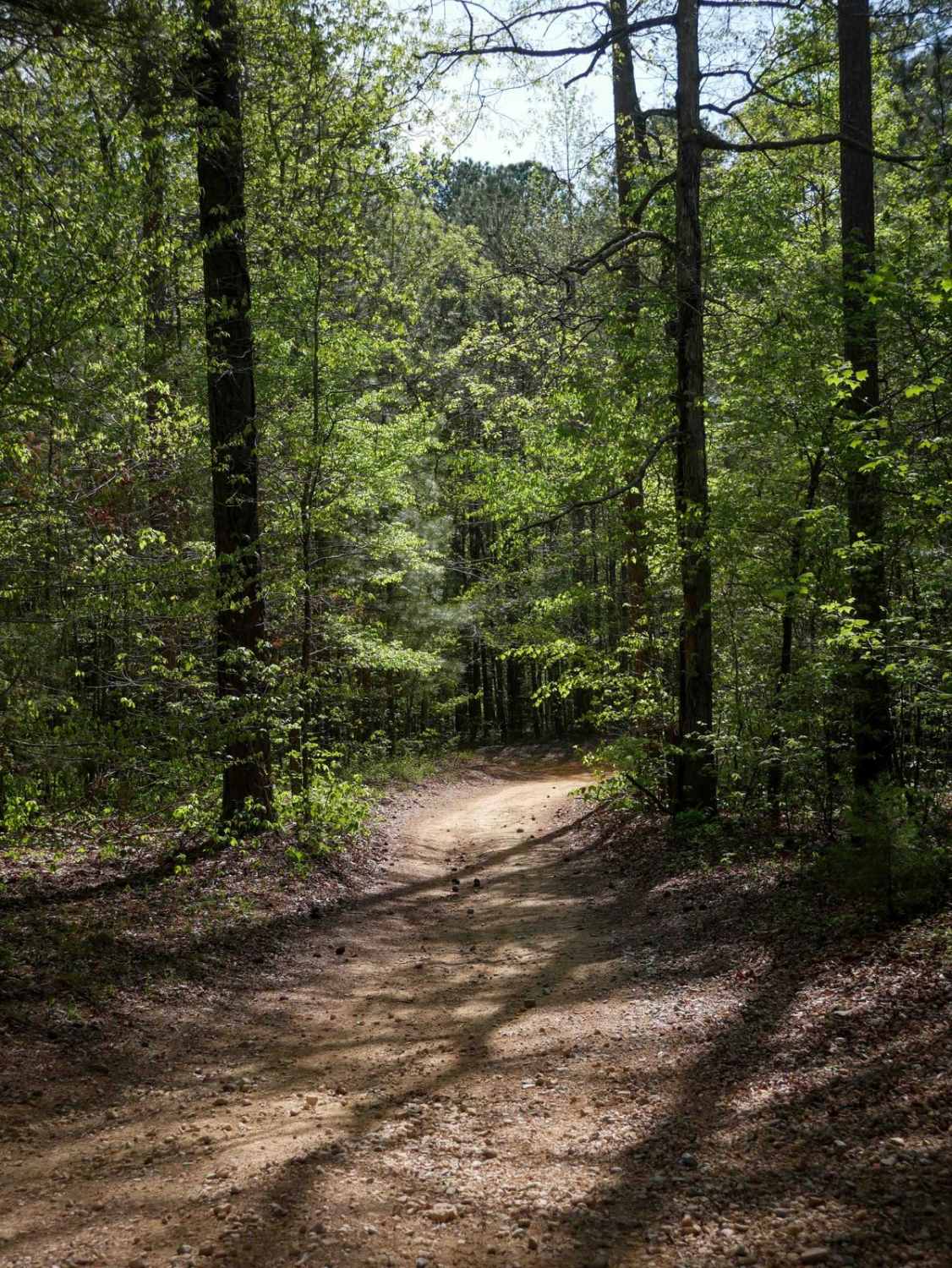 Trammel Loop 