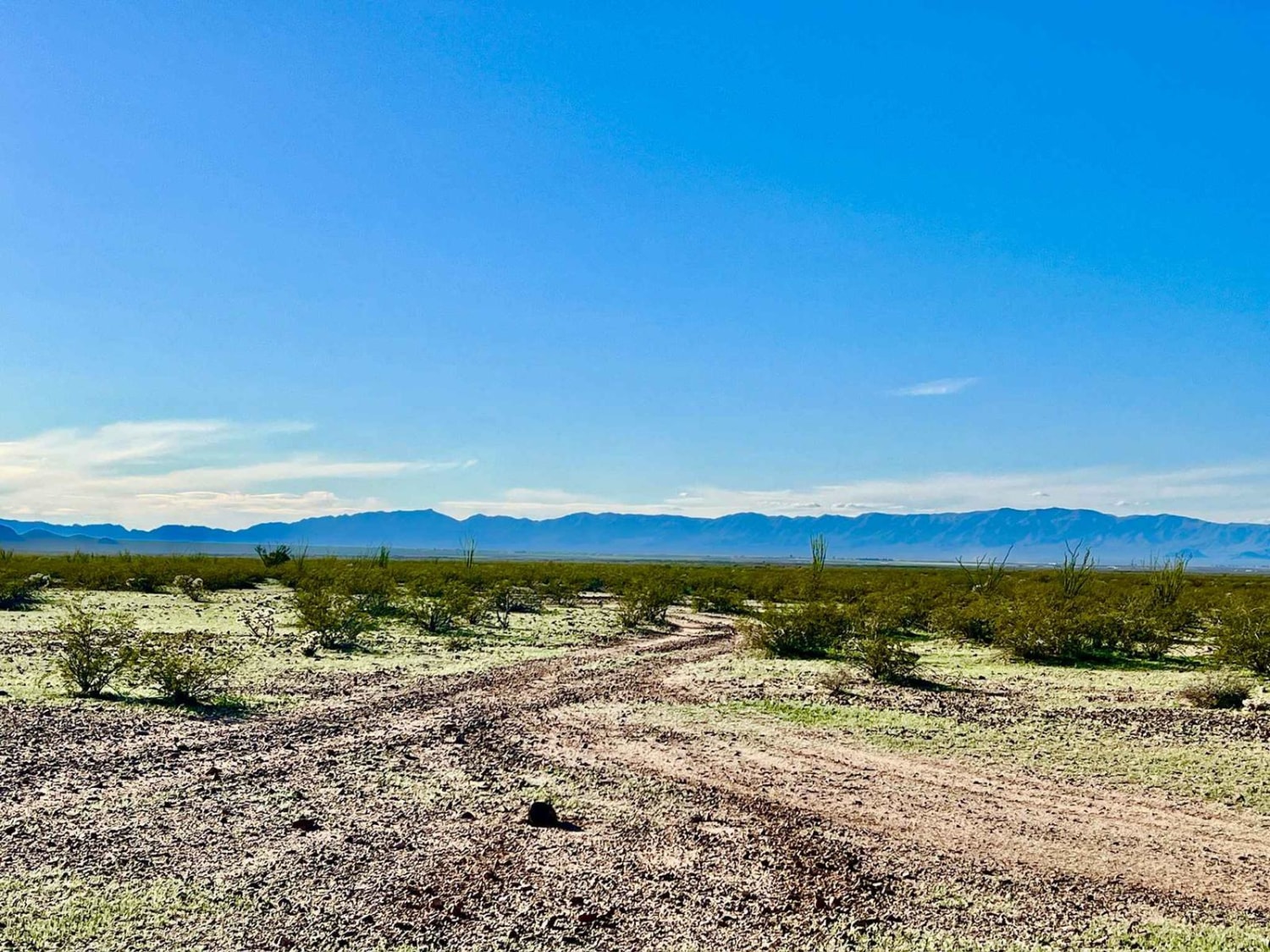 Grass Mine Trail