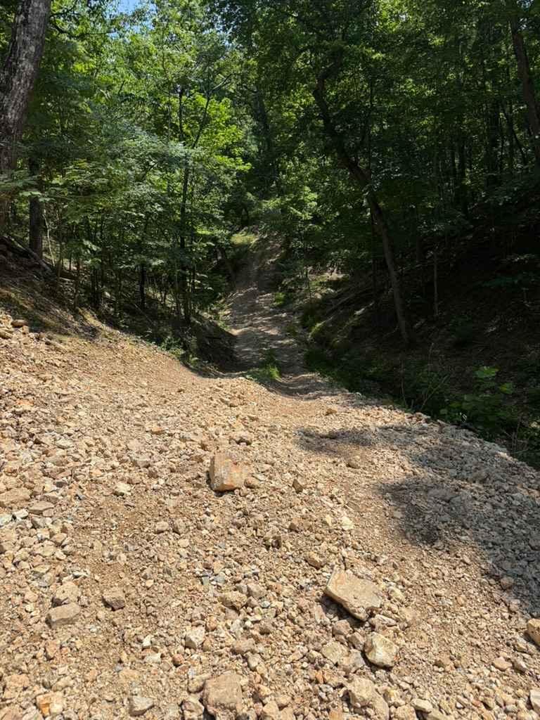 Abby's Trail