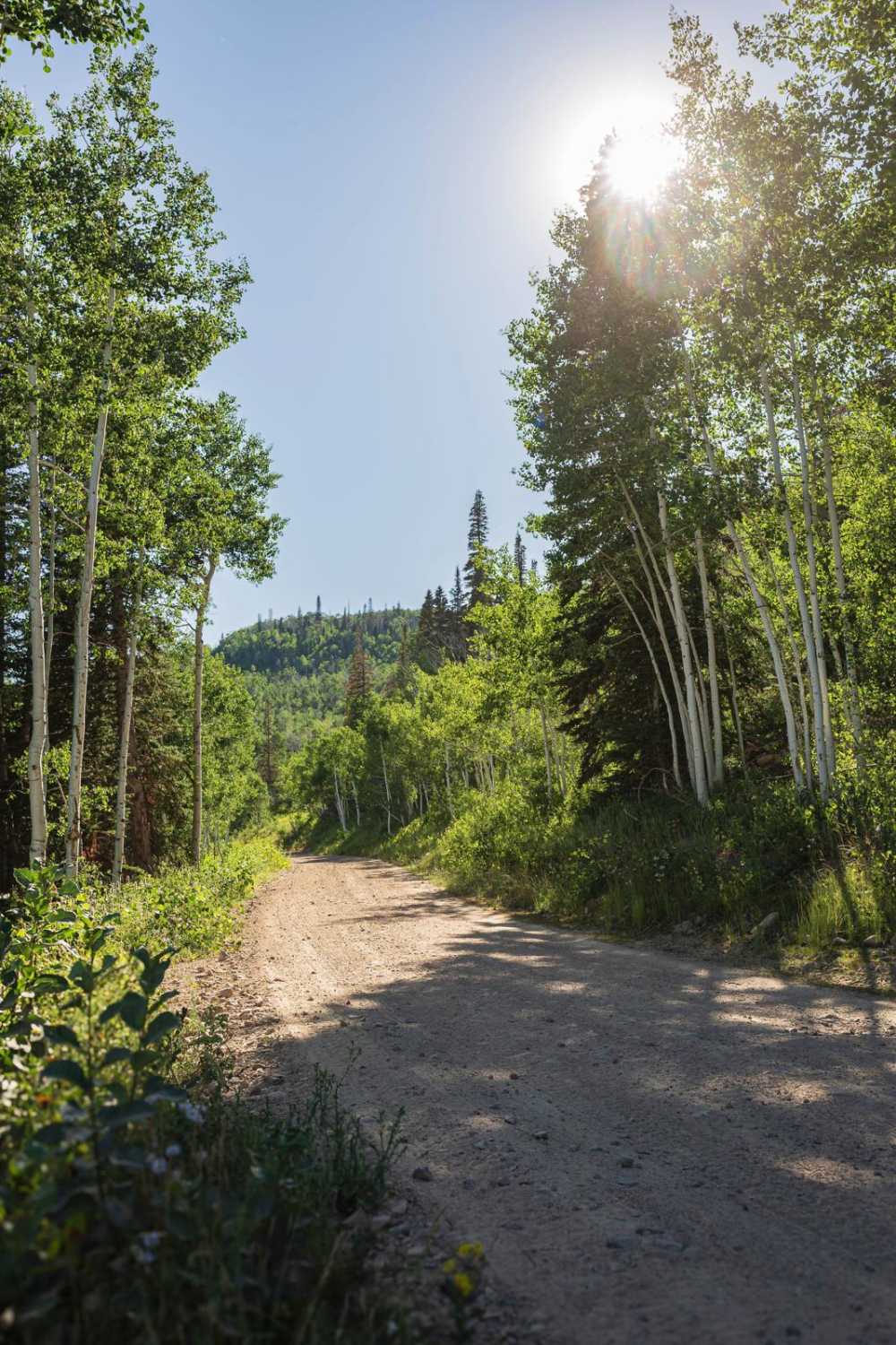 Murdock Bench - FR 70503