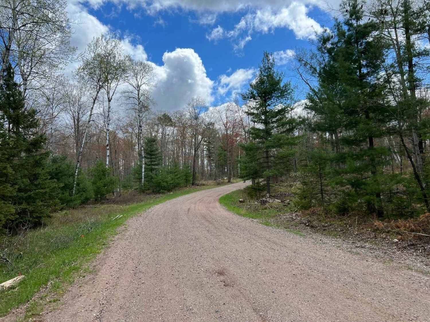 Trail A/Carney Lake Road