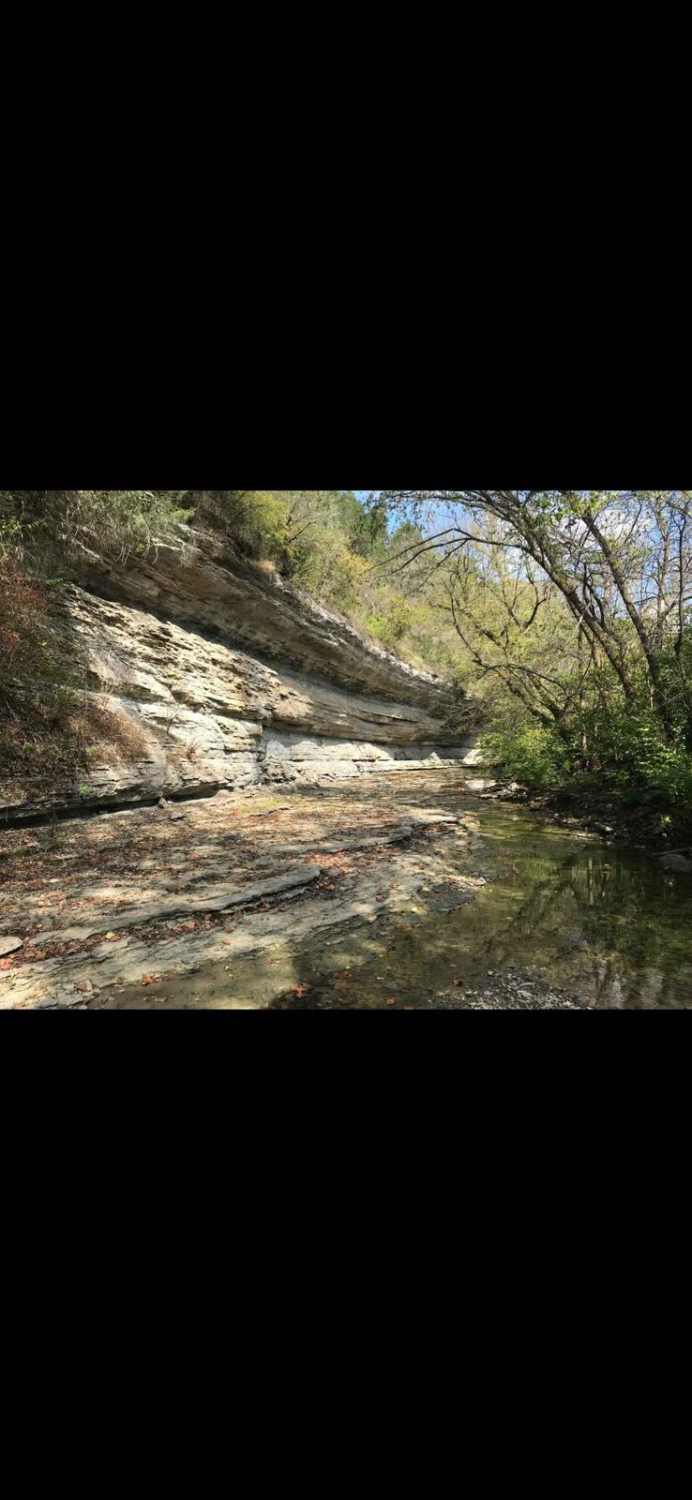 Jackson Branch - Power Lines