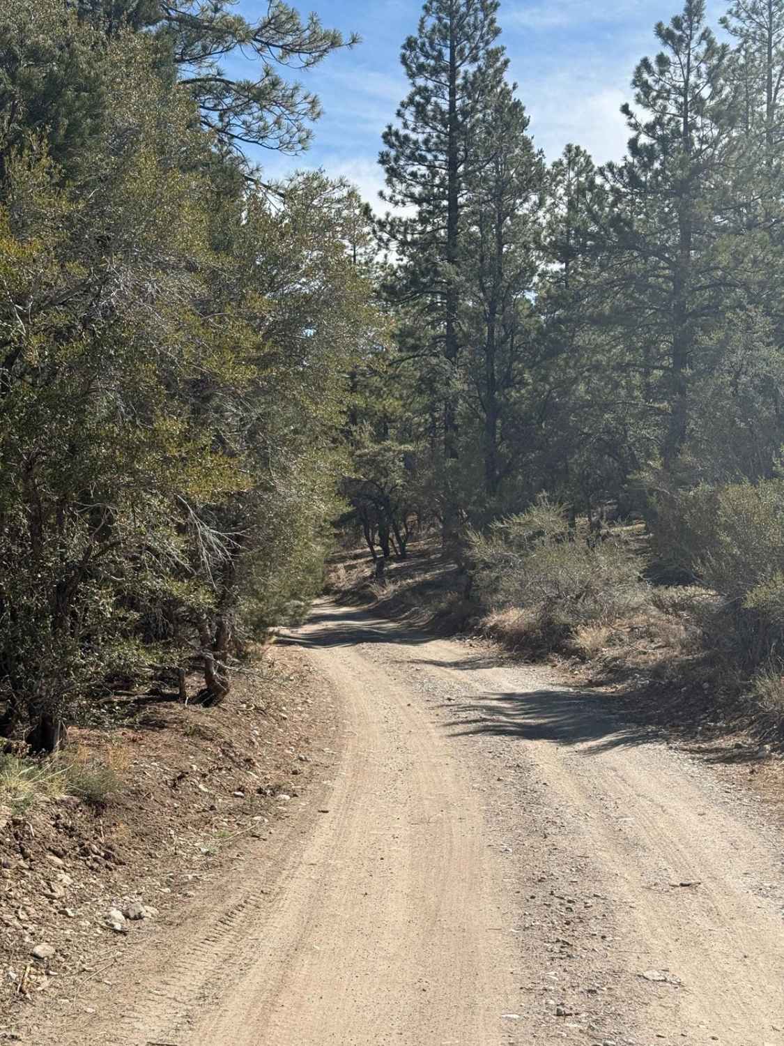 Champion Road