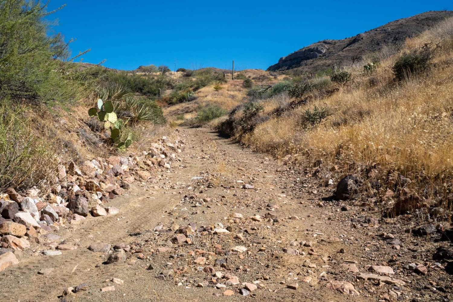 Lower Hackberry Trail