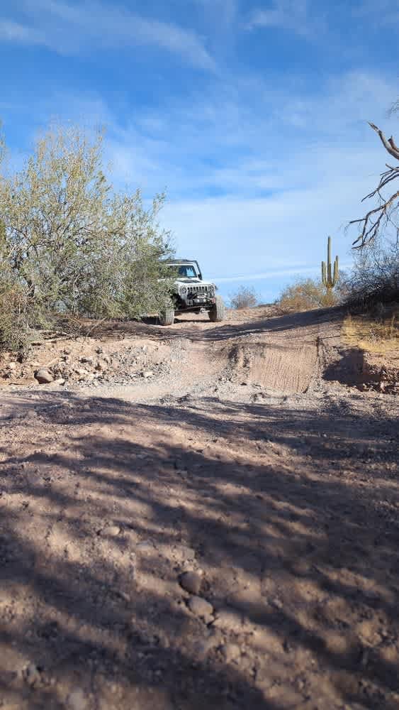 Jasper Springs Road