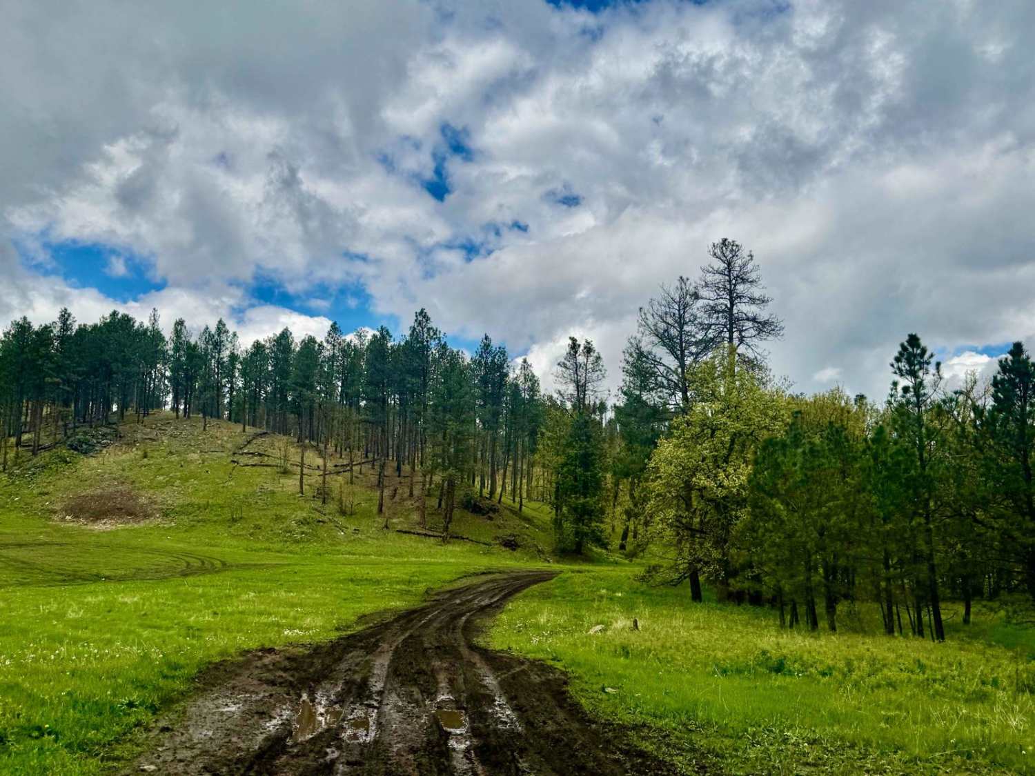 Johnson Gulch - FS 674.1A