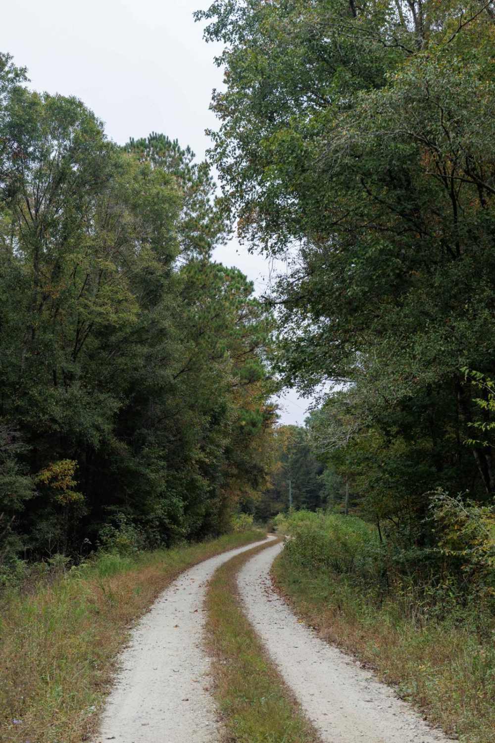 Summerhouse Road - FSR 258