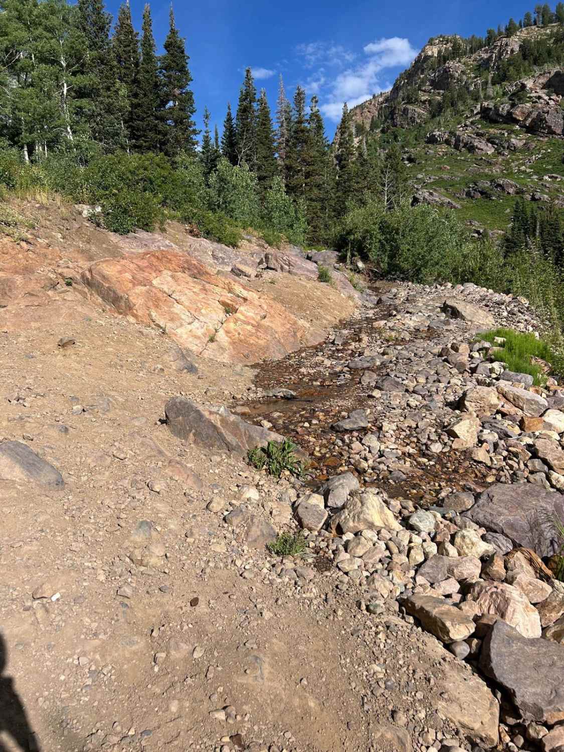 Mineral Basin Trail