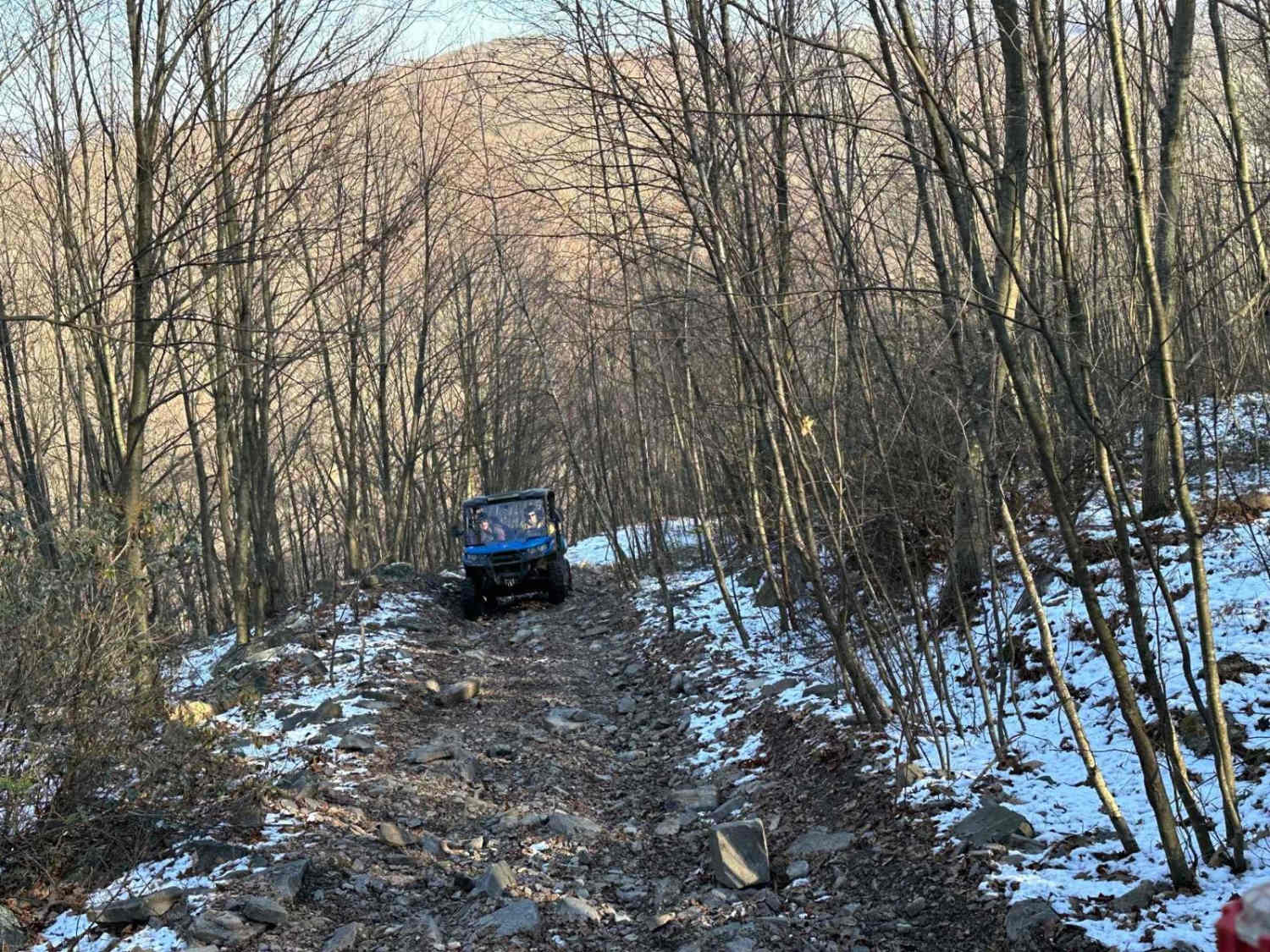 Locust Gap 82