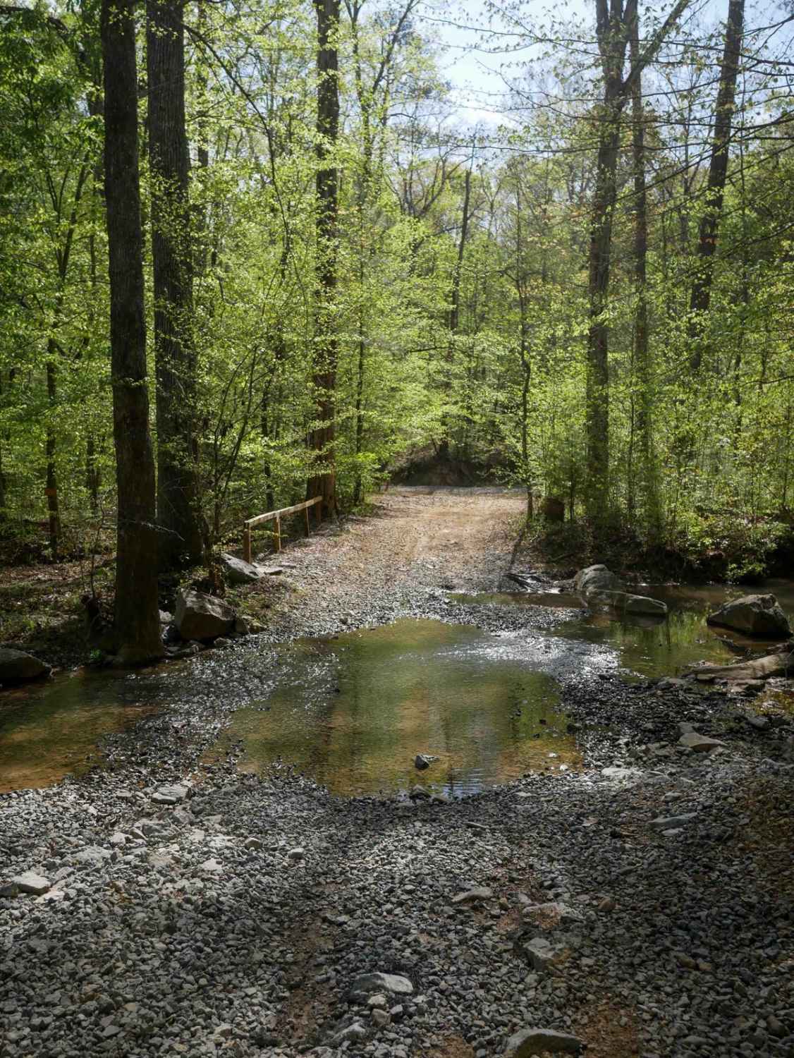 Trammel Loop 