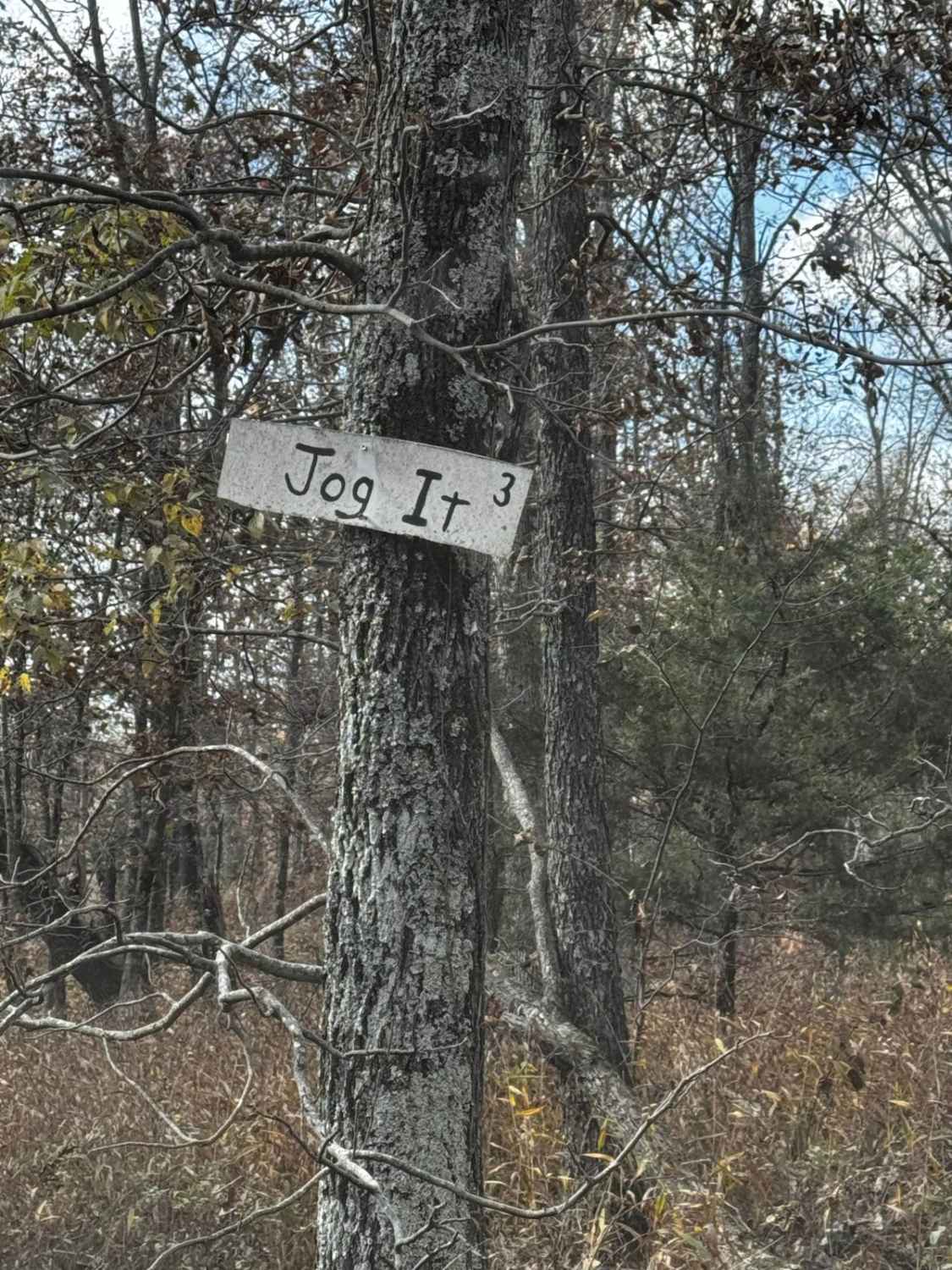 Jog It
