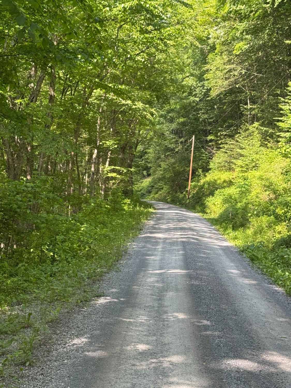 Right Hand Young Womans Creek Road