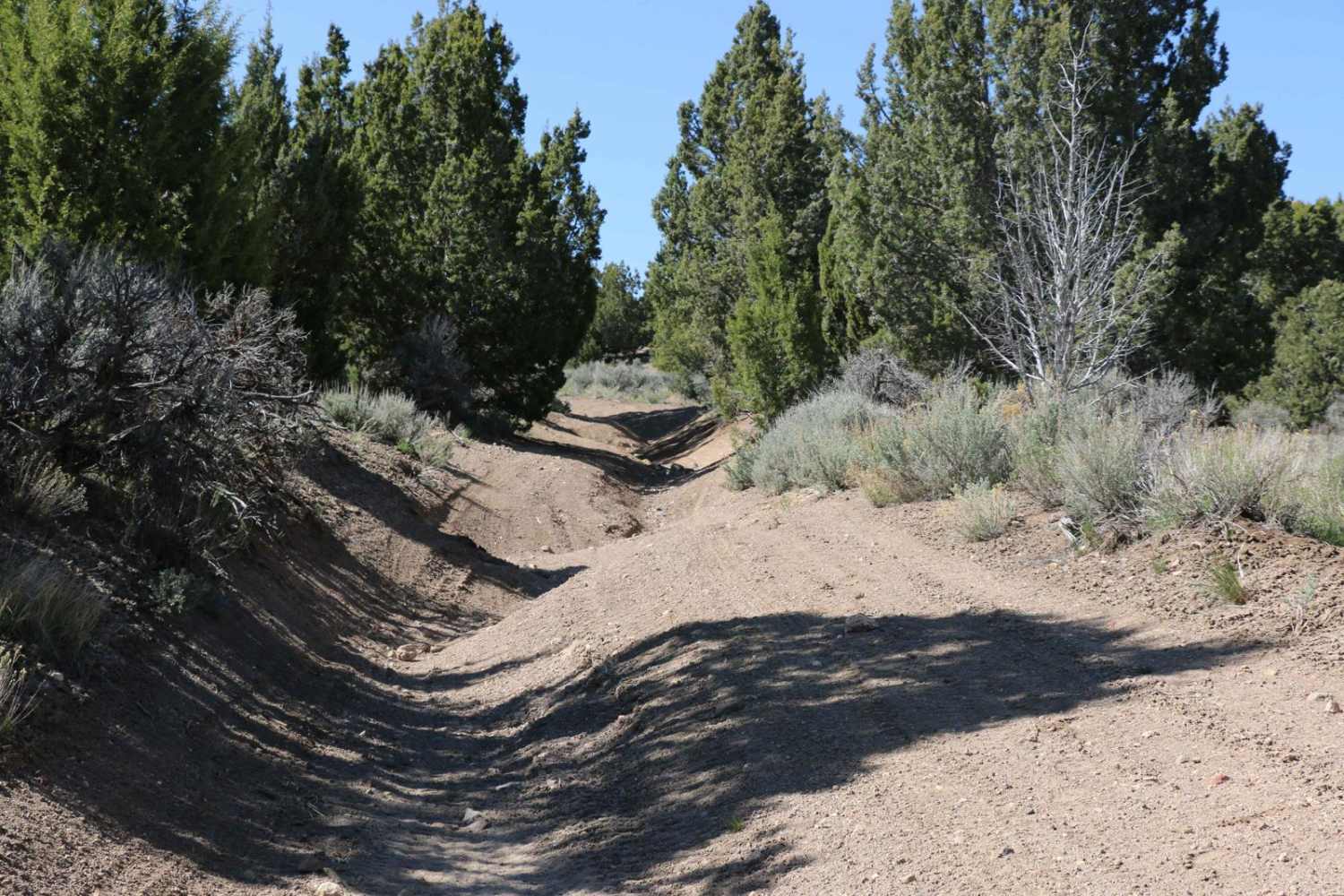 Independence / East Standard Mine Loop