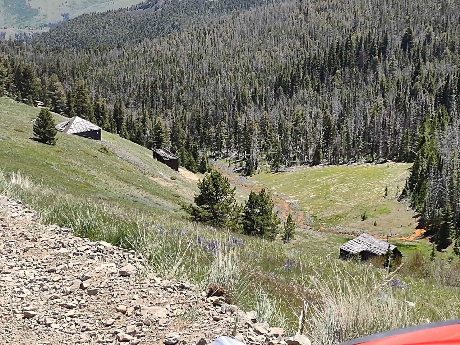 Bluebird Mine Trail Loop