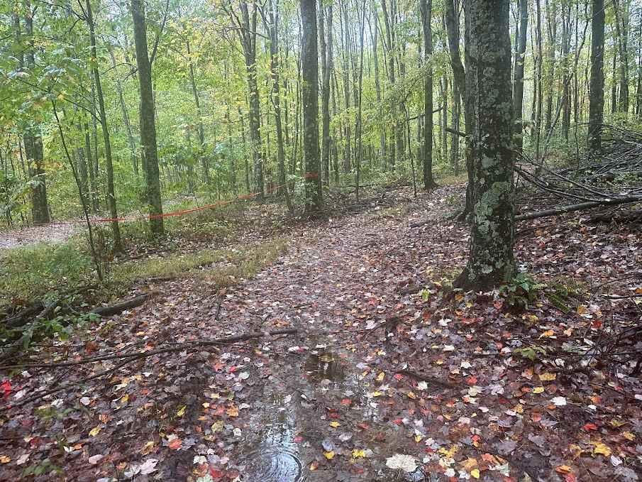 170 Single Track
