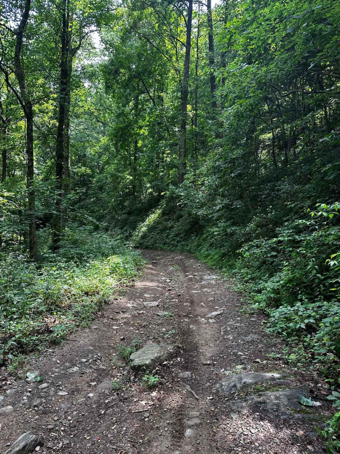 Horseshoe Ridge