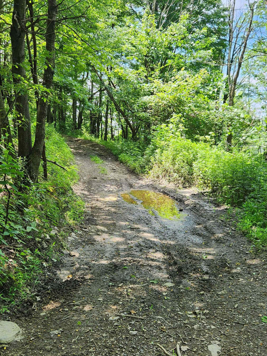 Trail 6A - Rock Run Recreation Area