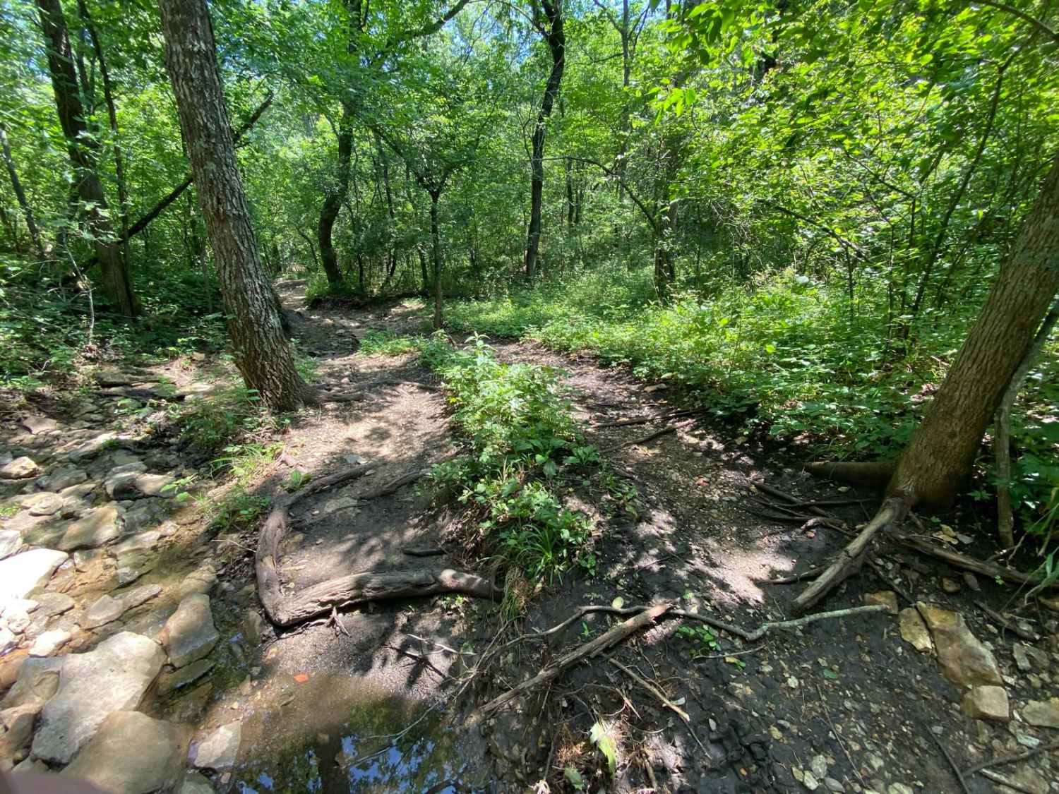 Creek Run