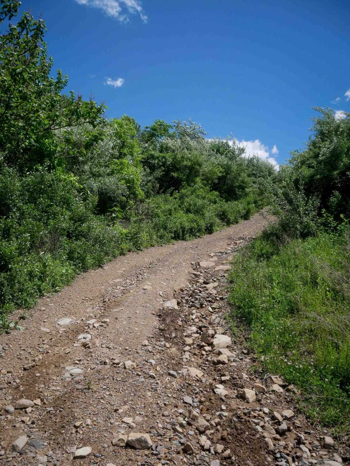 CC9