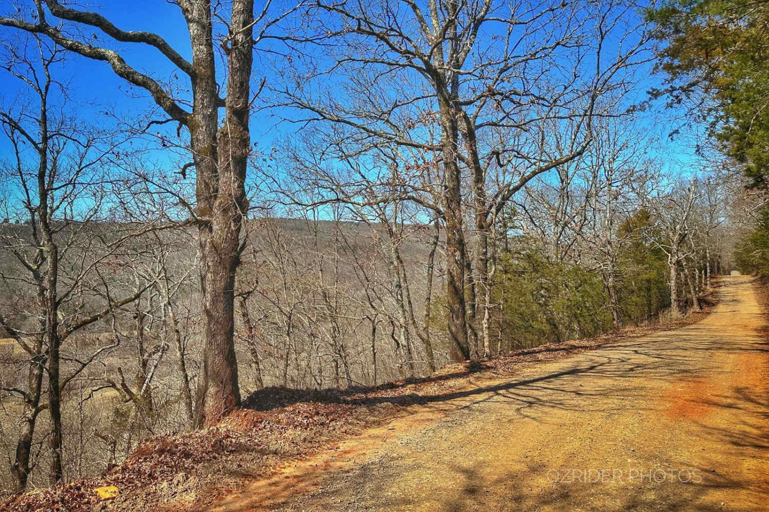 Pannell Road