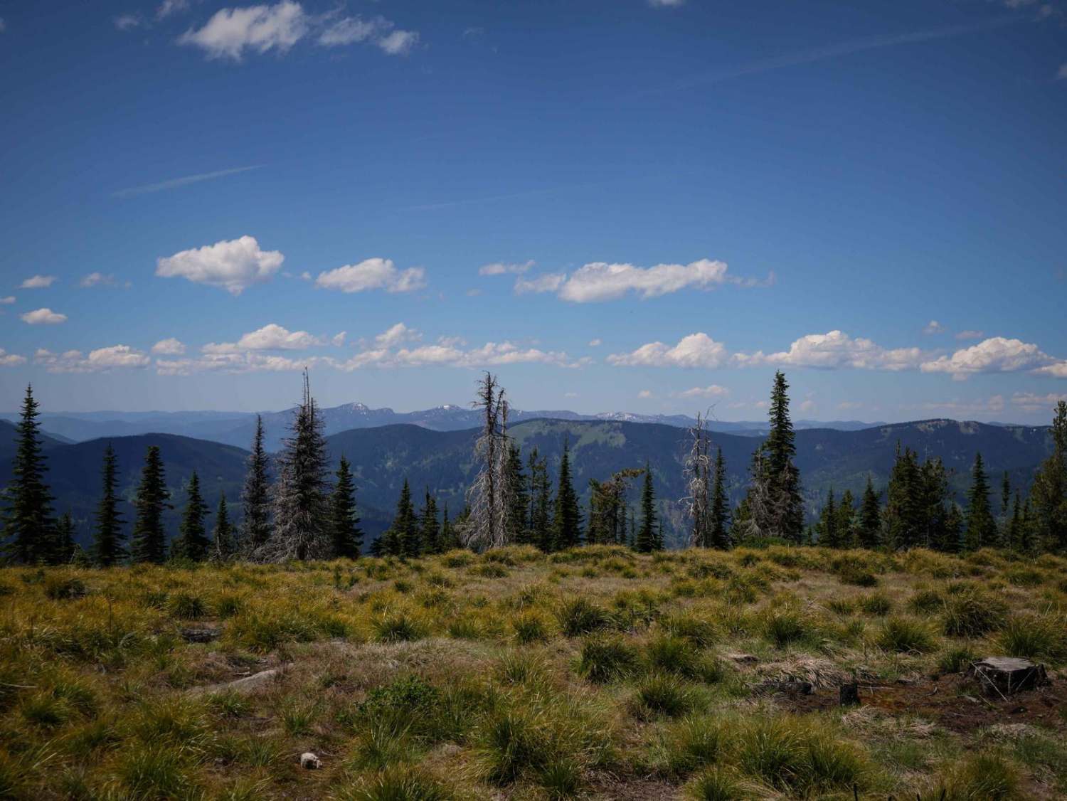 Junction Lookout 
