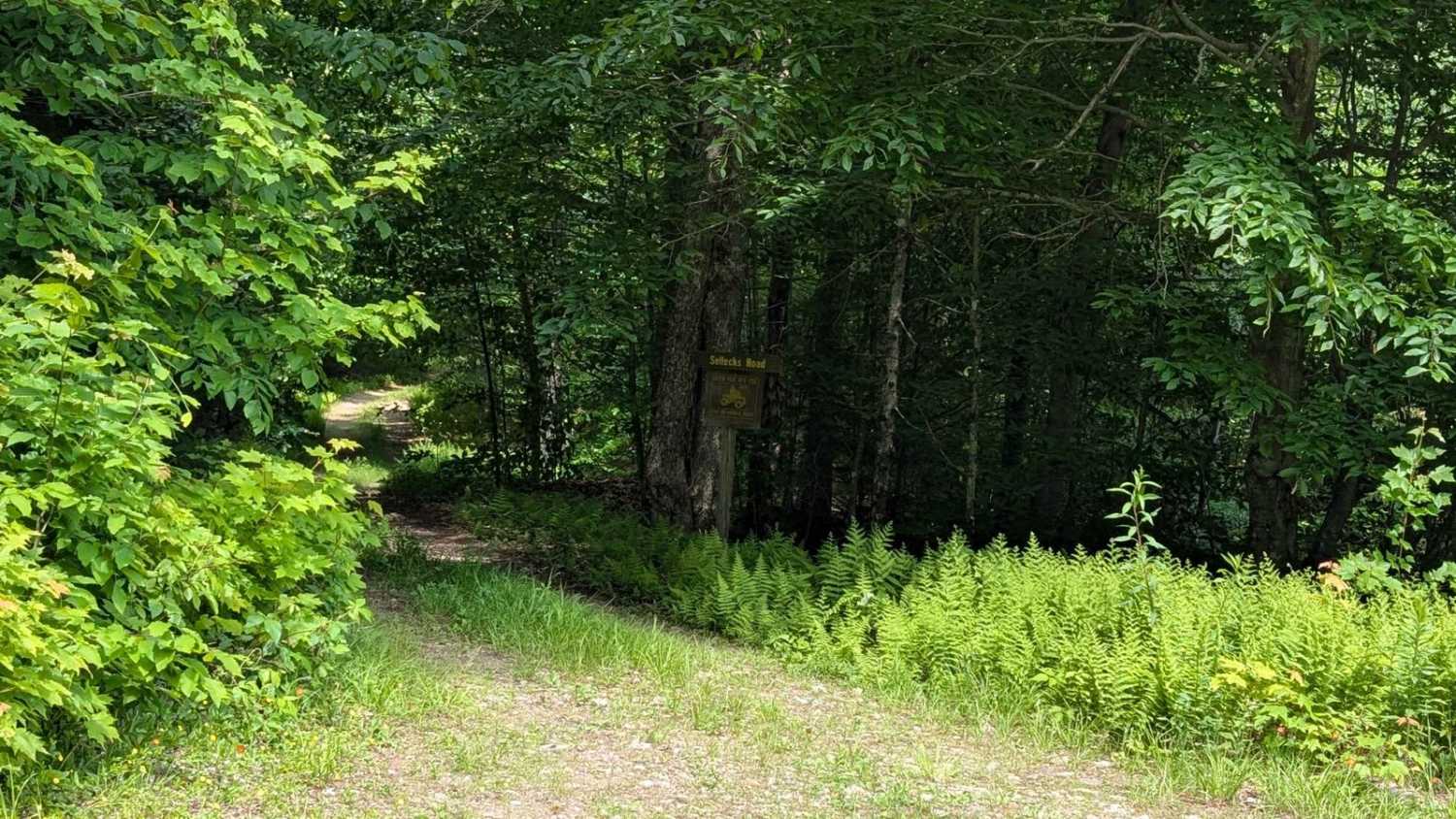 Sellecks Road Loop