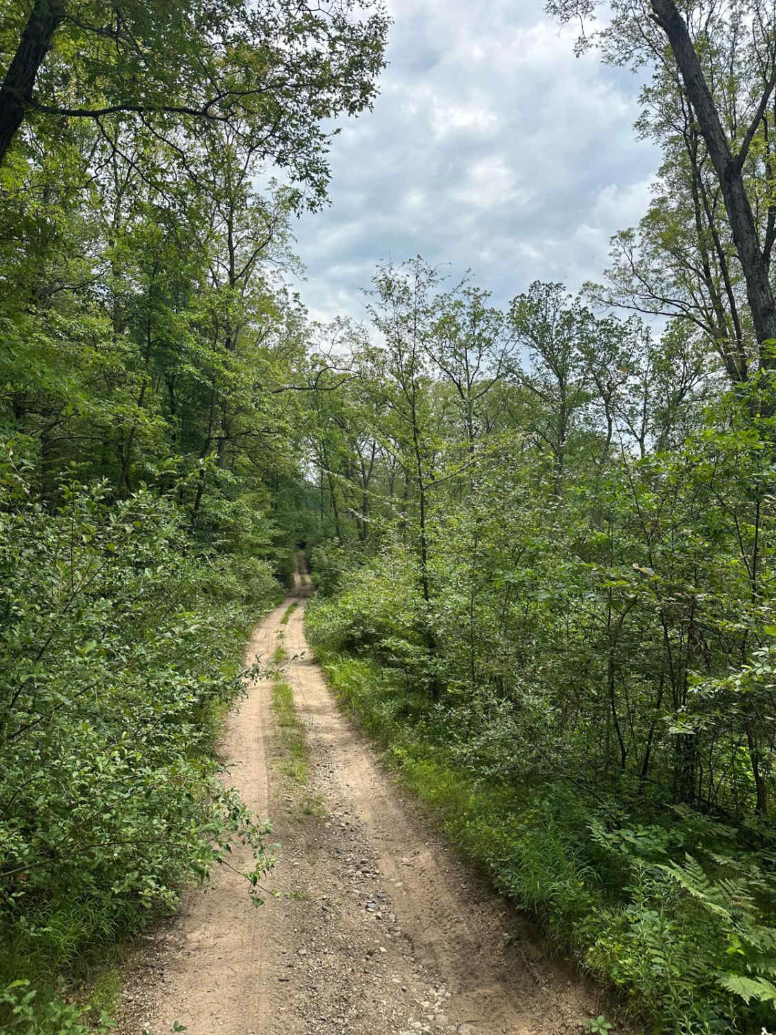 North Youngman Road