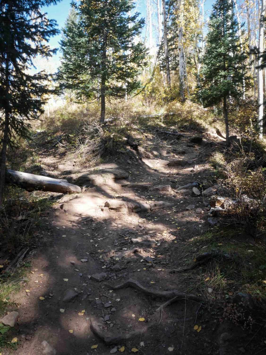 Jones Creek 