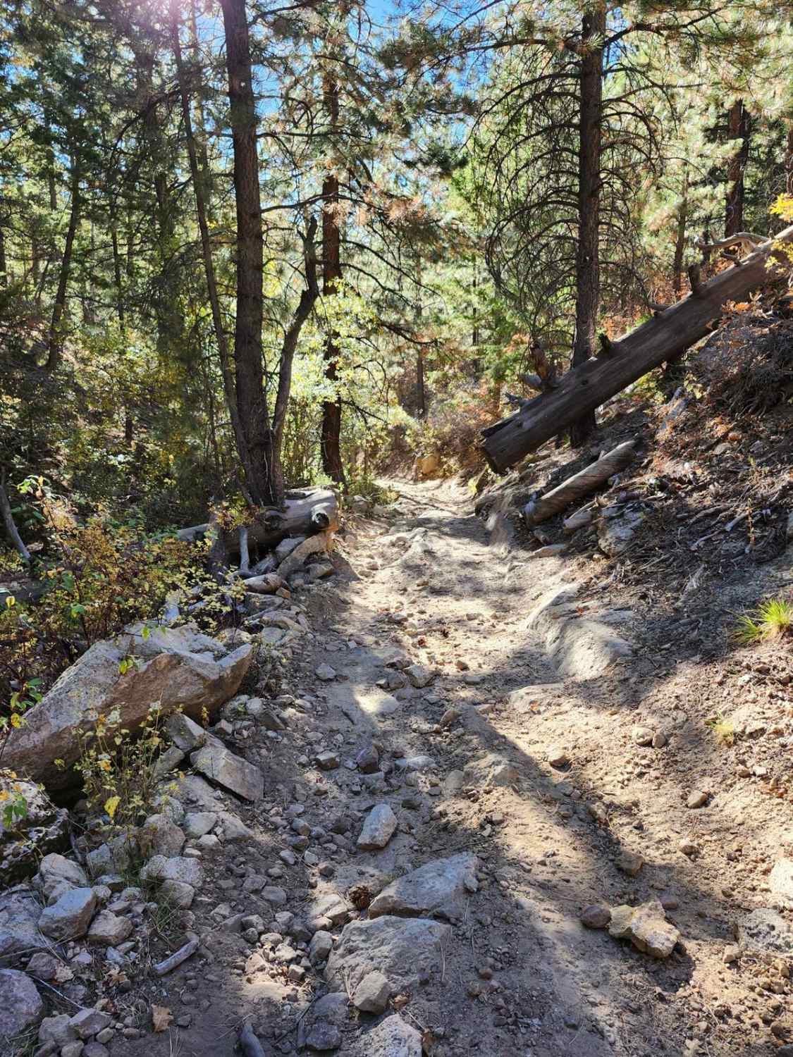 Camp Jackson Trail