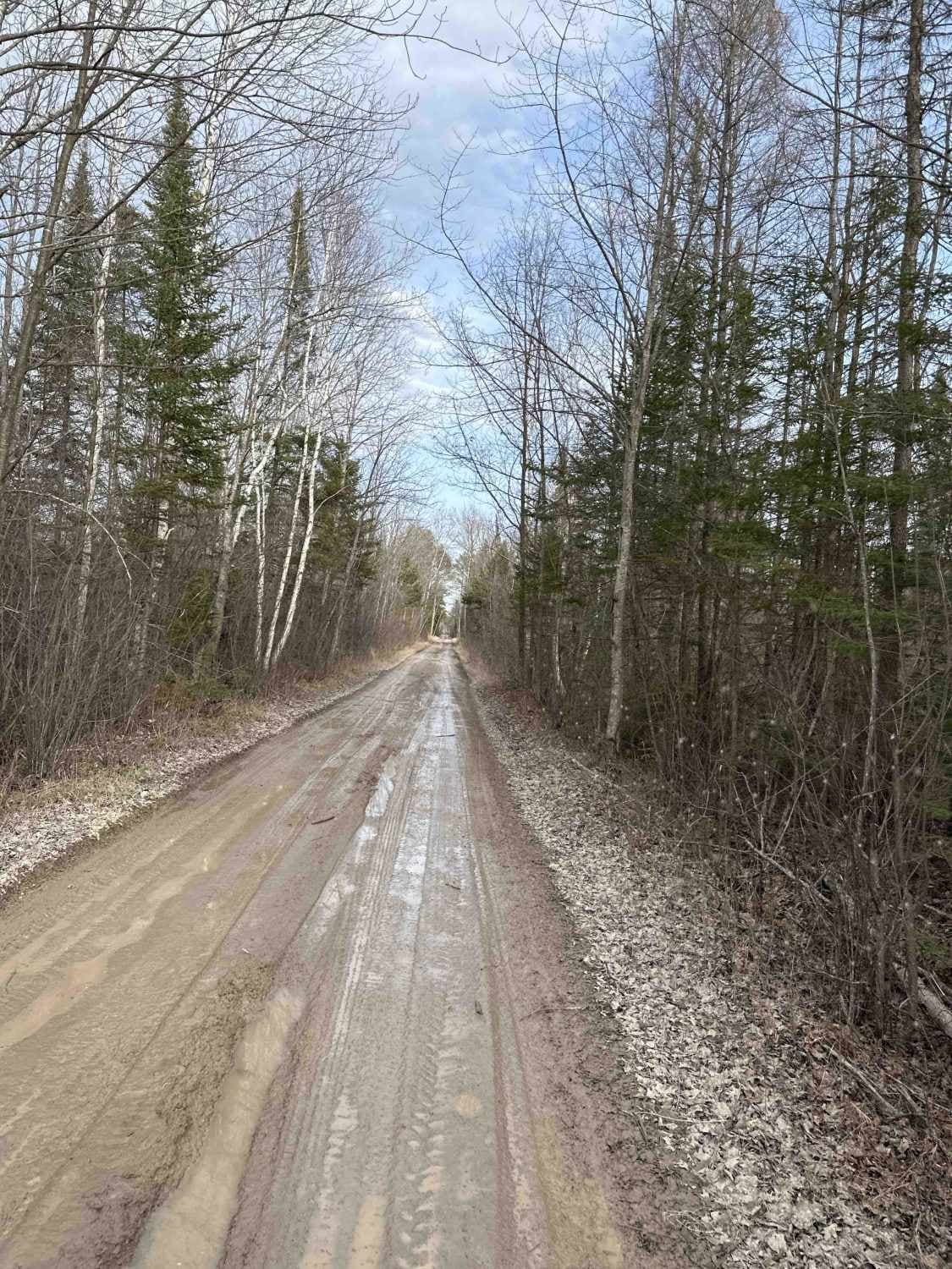 Norway Ridge Trail