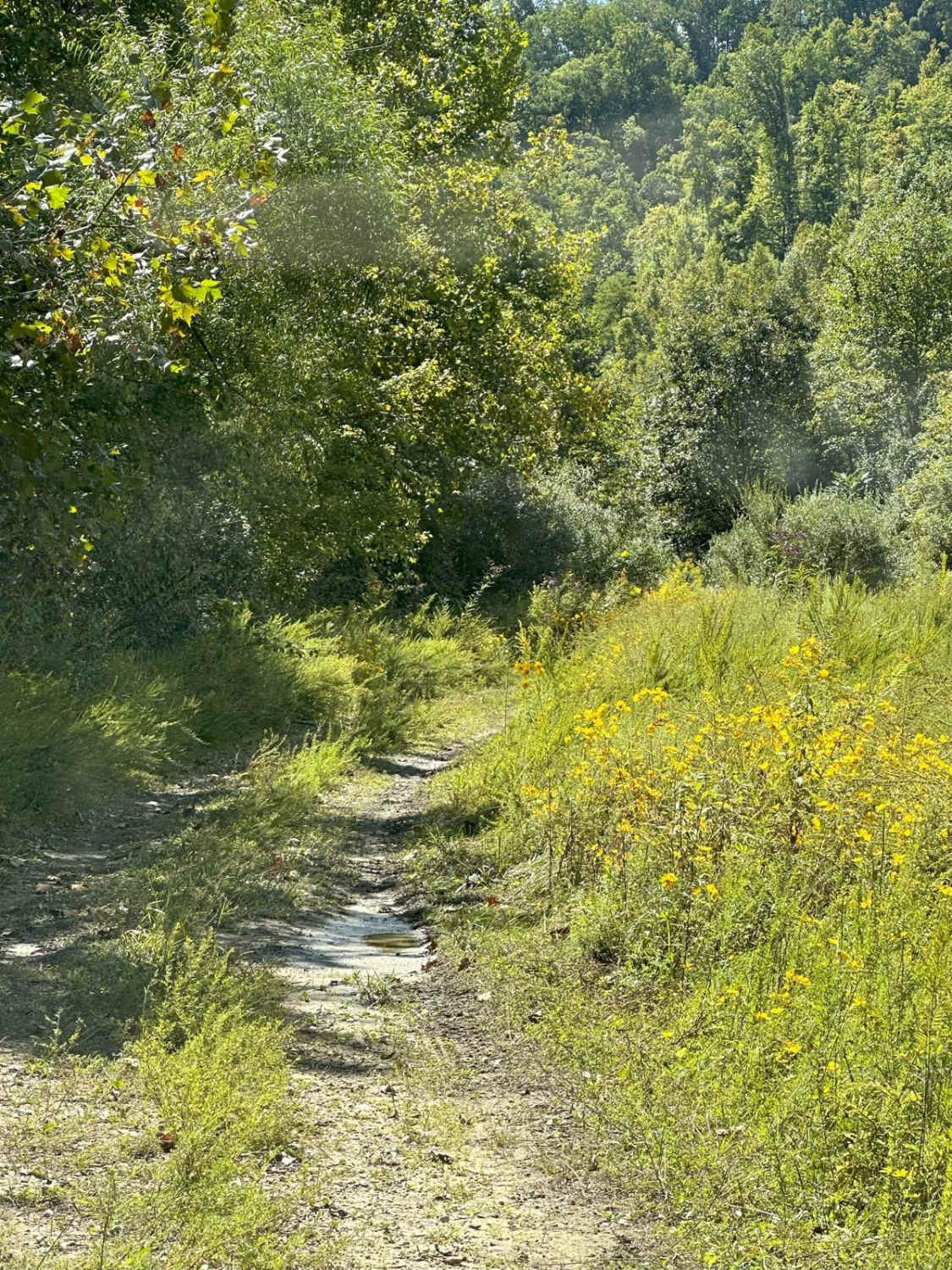 108