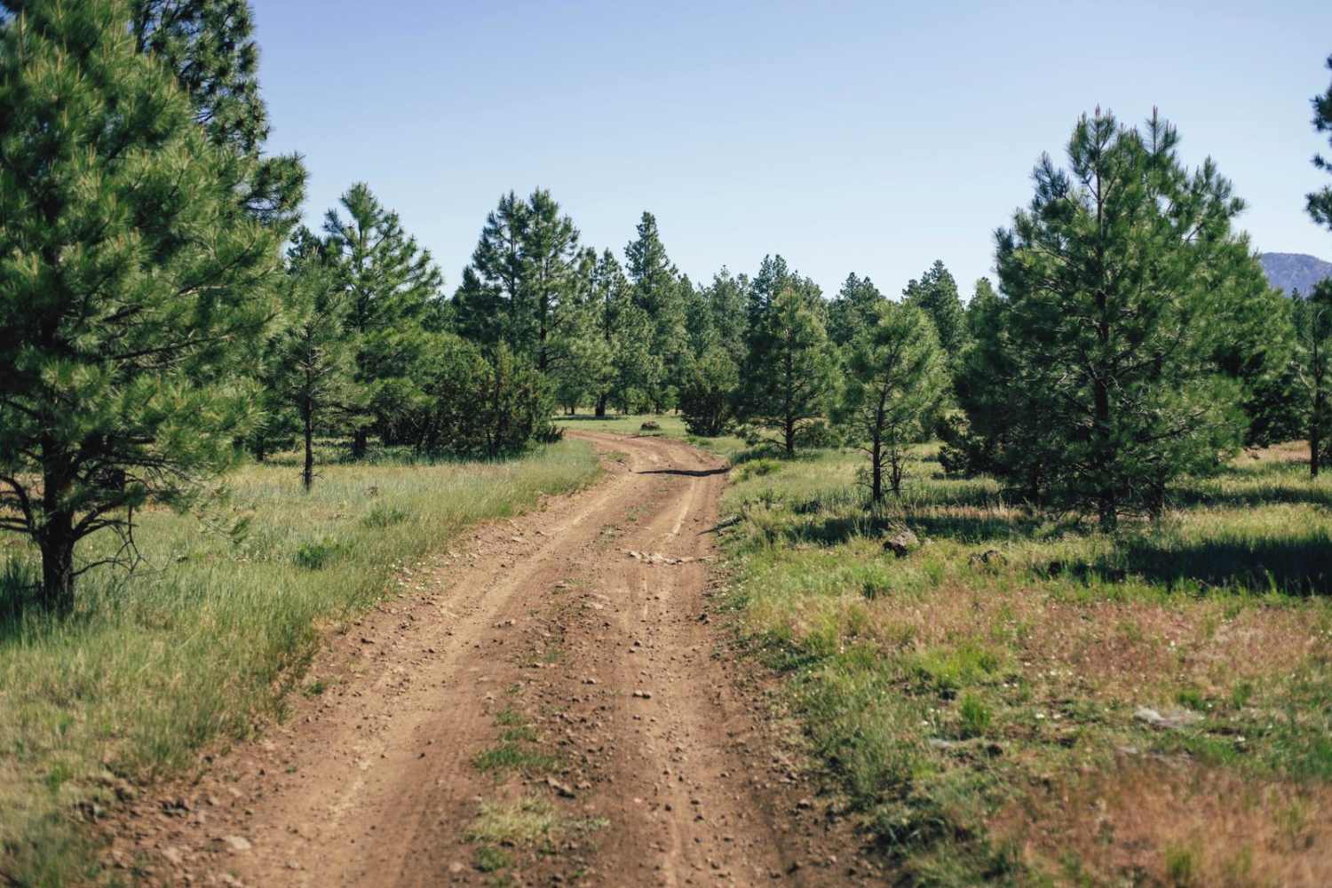 Old 72 Road