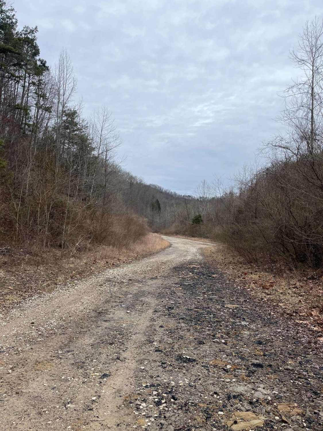 Trail 14 Cow Fork
