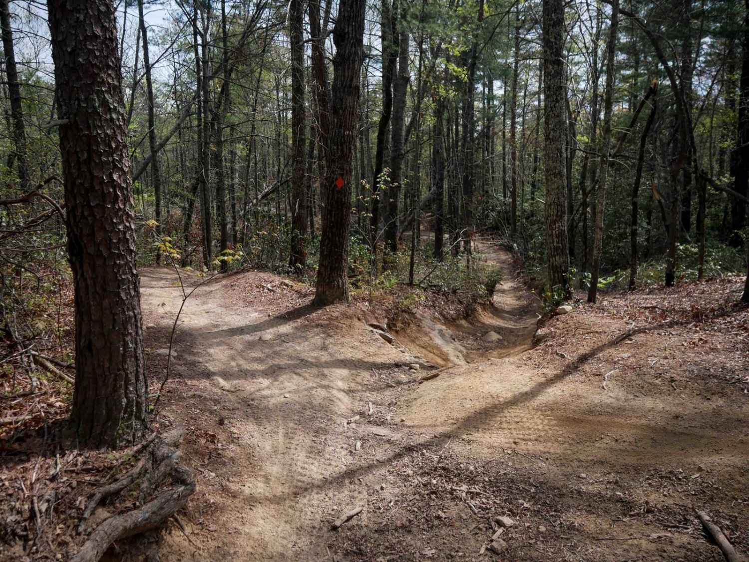 Trail 9  - 65 Inch