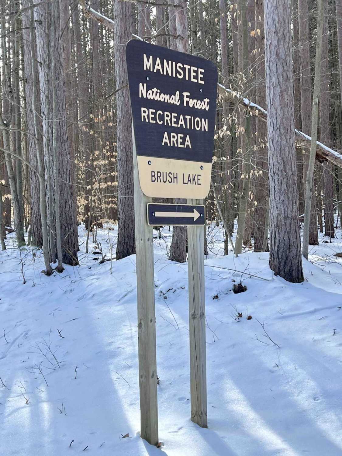 NFS 5534 (Brush Lake Trail)
